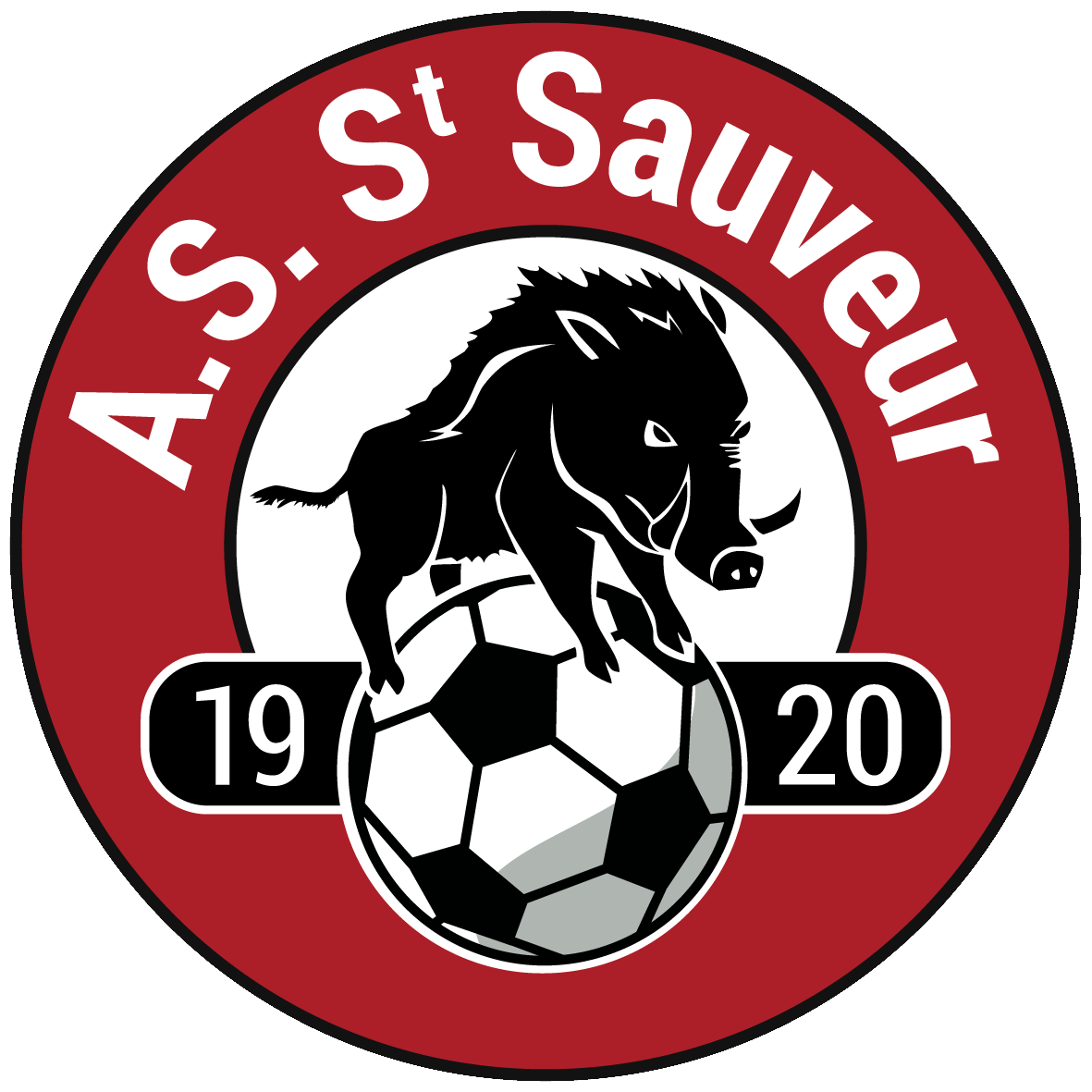 Logo AS Saint Sauveur